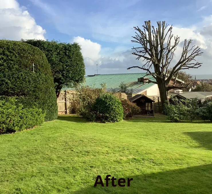 Hedge trimming completed
