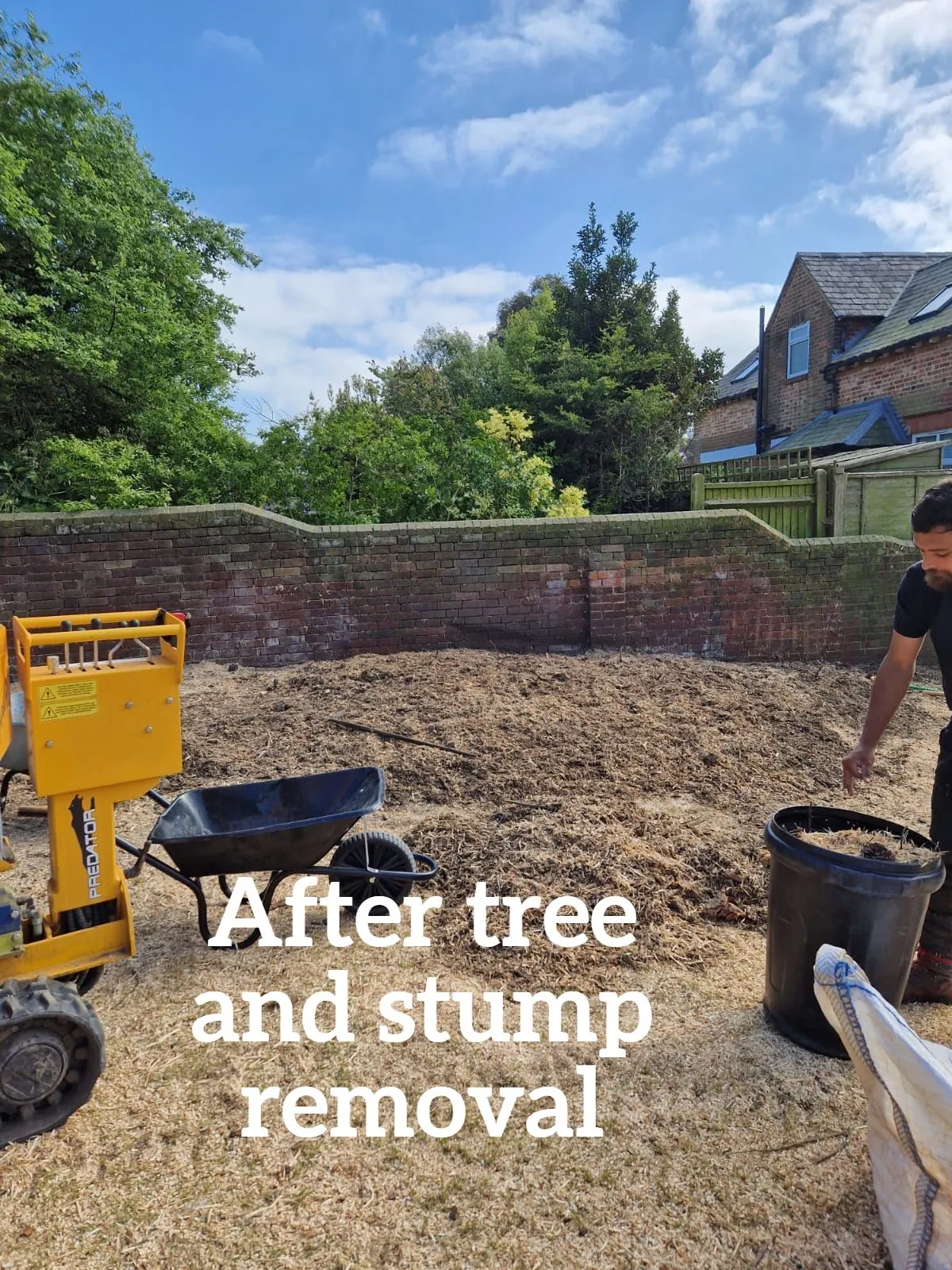 After stump removal
