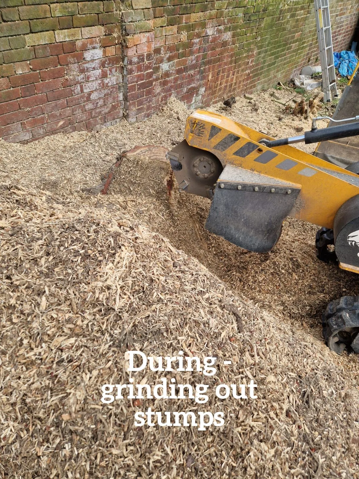 During stump removal